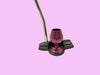 Wine Glass